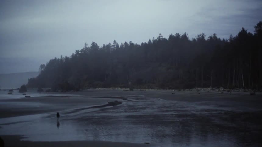 A person walks in a tidal flat