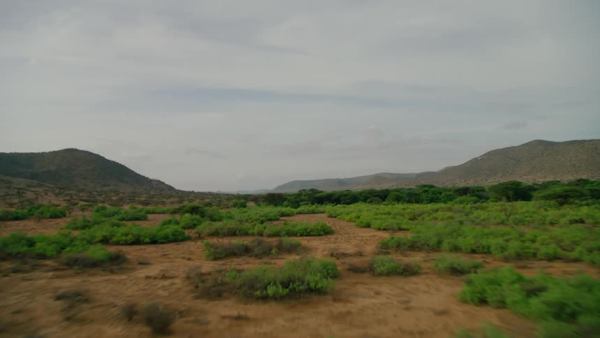 Trees and scrub brush are covering the floor of a remote landscape