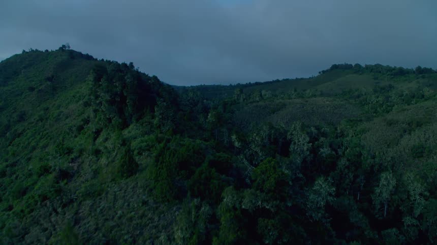 Trees cover the mountainous landscape