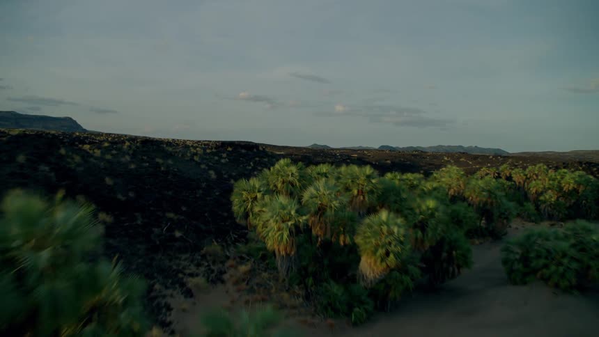 The sand leads to some trees and hills