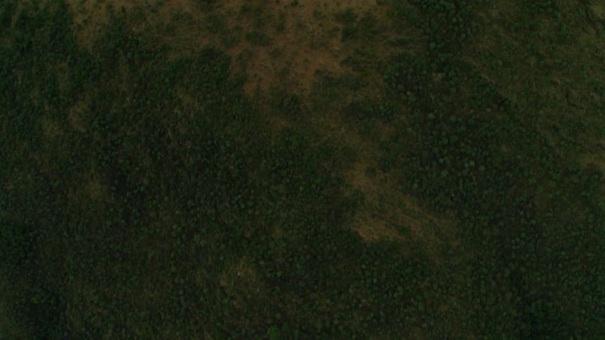 Scrub brush is growing on the hillsides and ravines of a natural setting at dusk