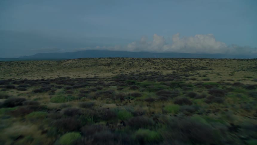 Clouds over bushy grassy flat land