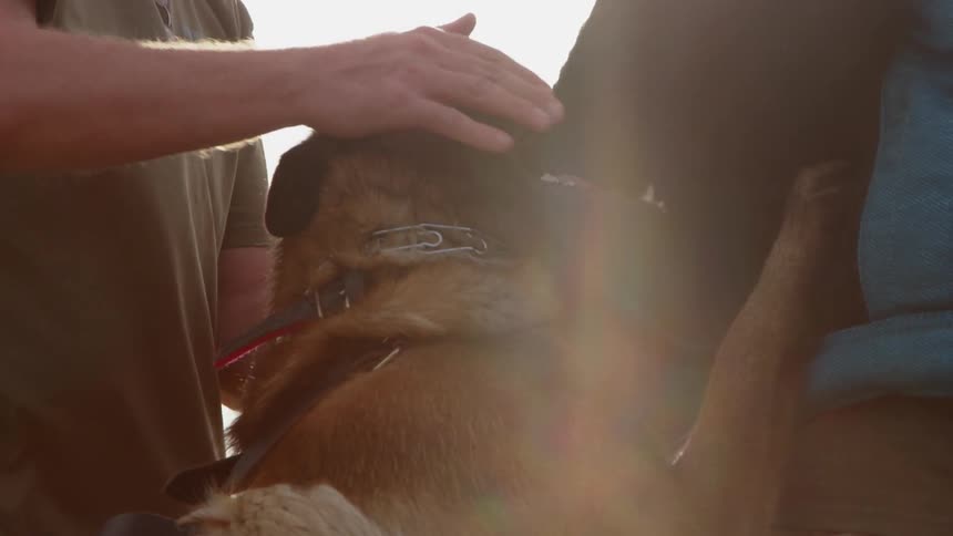 A man pets his dog as it chews on something