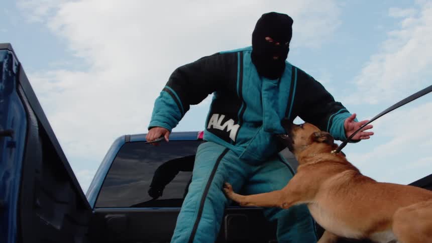 The dog is attacking a man in the back of a truck