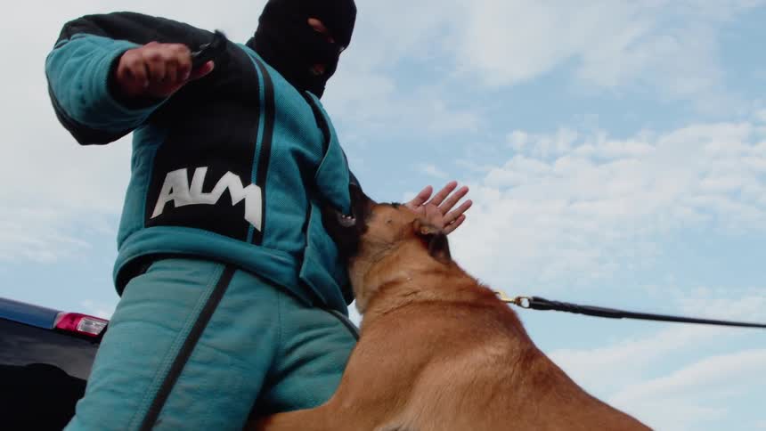 A dog attacks a man wearing a padded jacket
