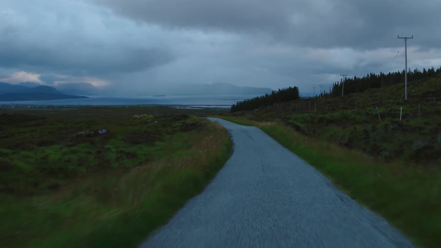 A narrow road through brush leads toward the ocean