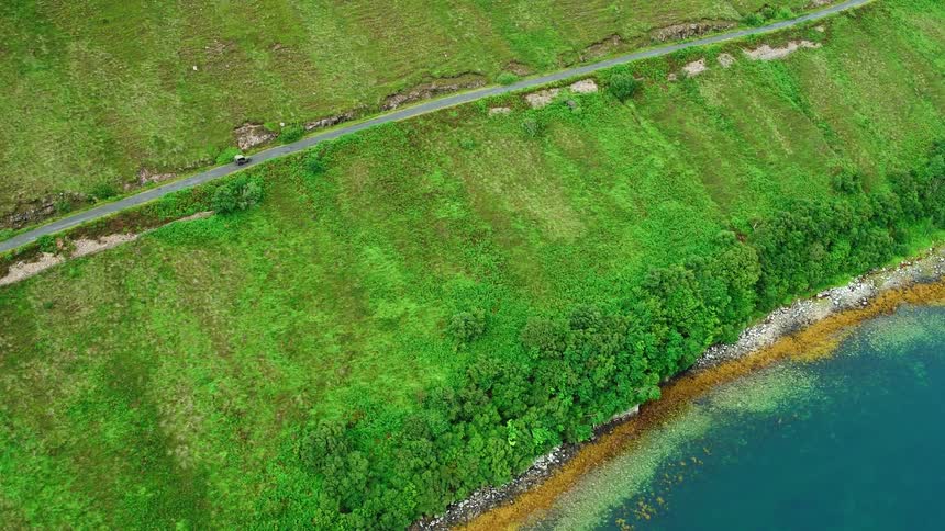 A vehicle drives on a road lined with lush green grass