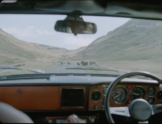 The sheep move around the vehicle as it drives near the mountain