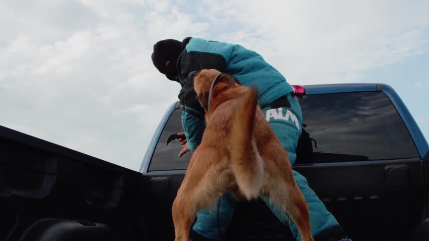 A man in pads is attacked by a dog