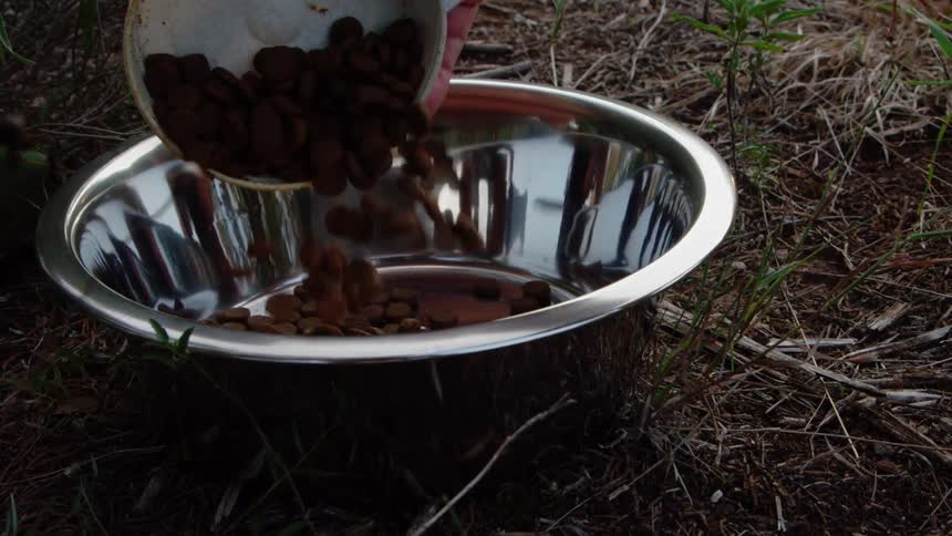 A person pours dog food into the silver bowl