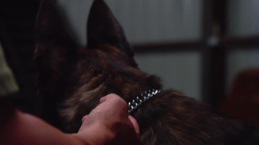 Guard dog with its handler indoors