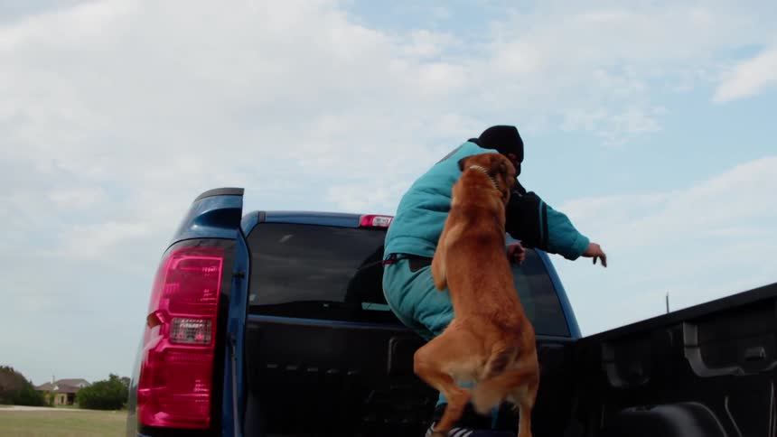 Dog jumps into truck bed and attacks man in padded suit