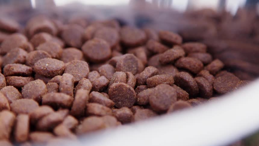 Dog food kibble in a bowl