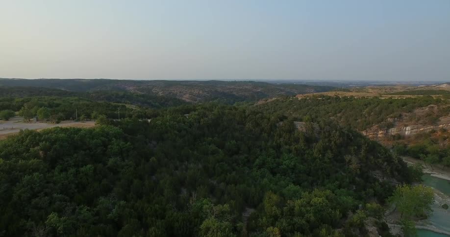 Forest of trees sits under a blue sky