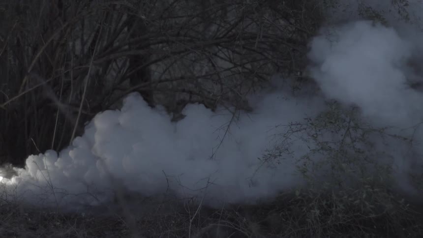 Smoke billows through trees
