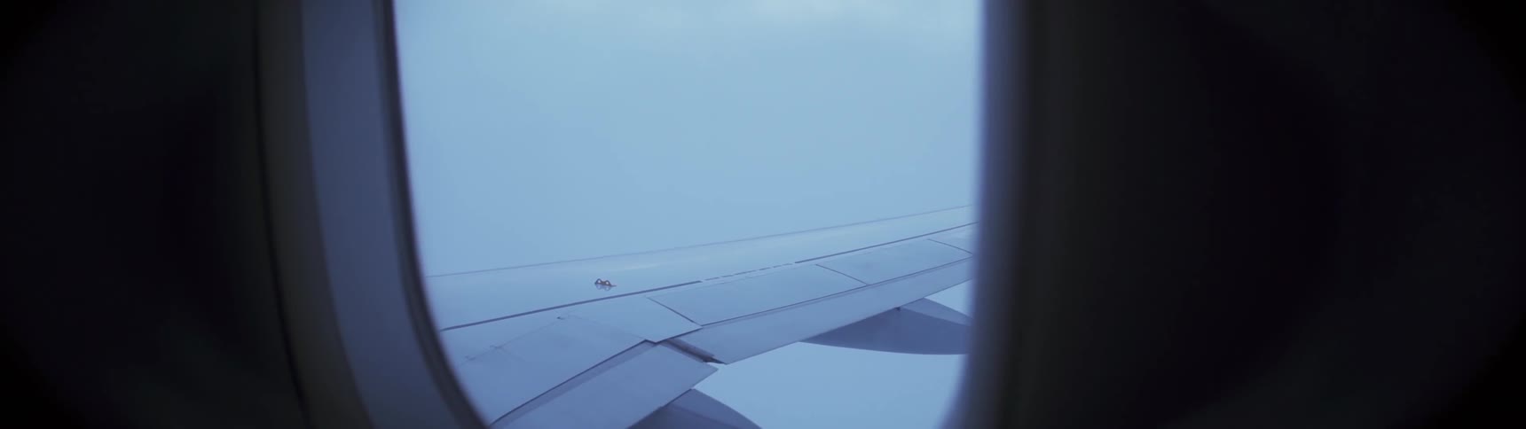 Airplane flies above the clouds