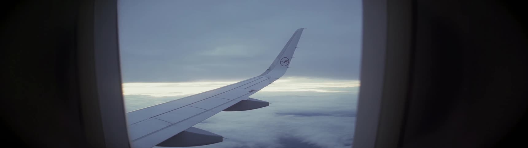 An airplane flies in the sky