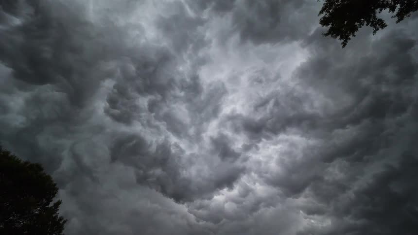 Dark clouds swirl above the trees