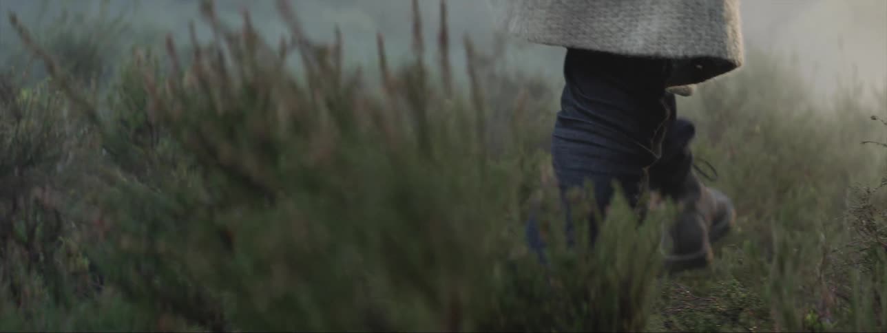 A person walks through the tall grass on the field