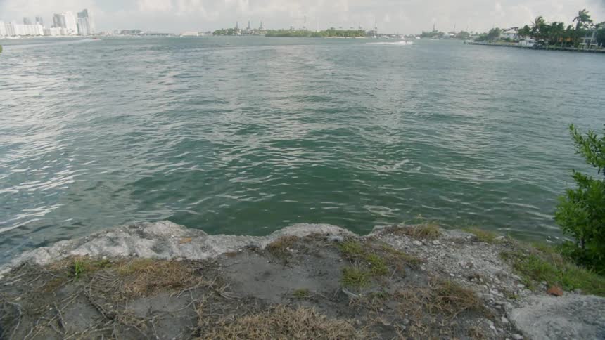 Water ripples on a lake