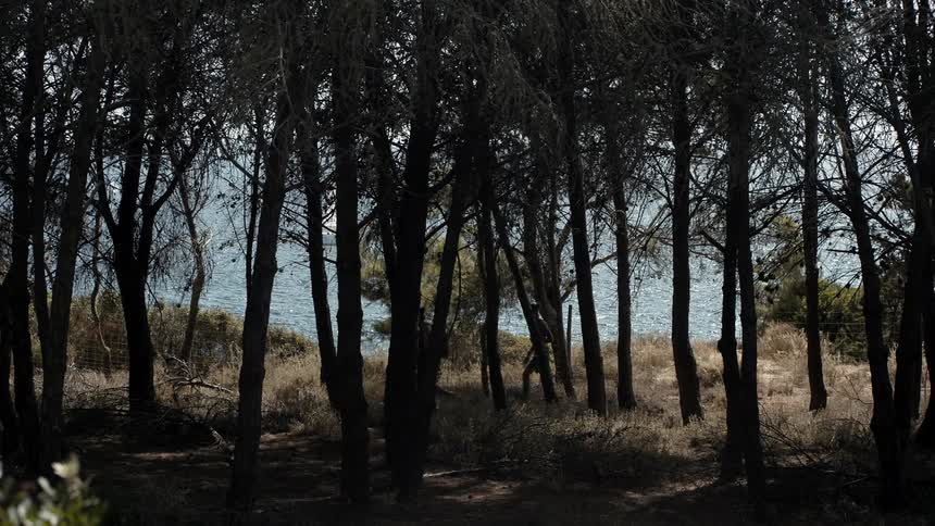 Past the forest is a lake over the hill