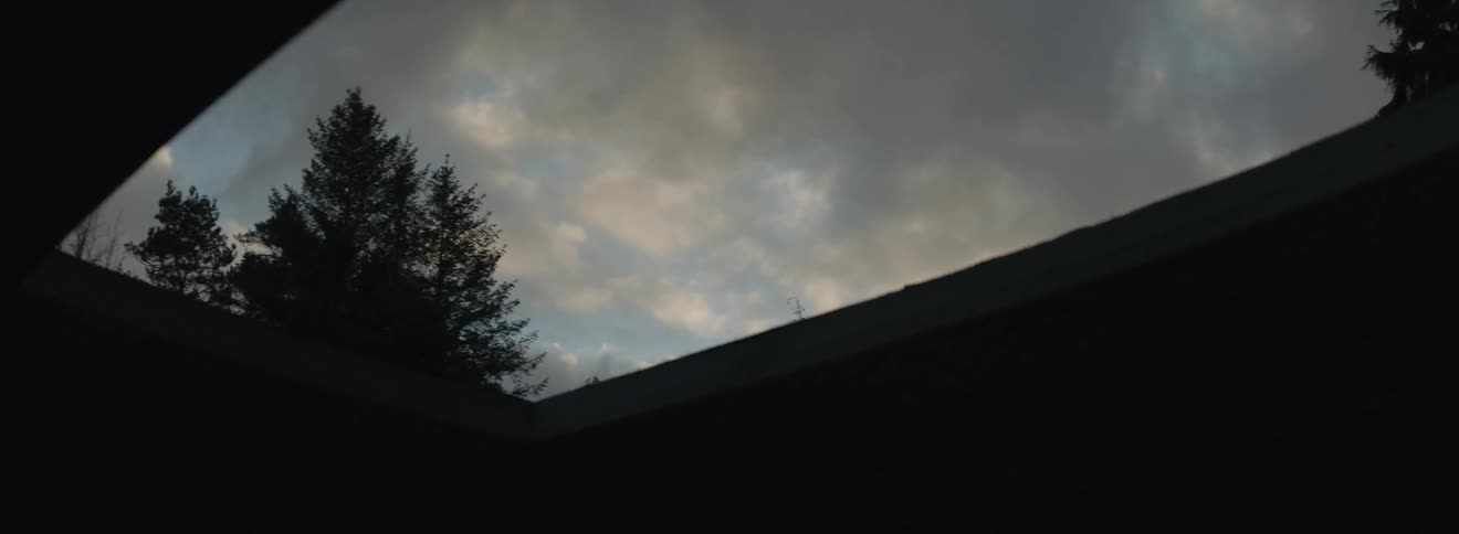 Clouds hover low over trees