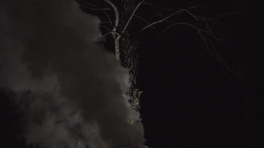 Smoke billowing up to the sky in front of a tree