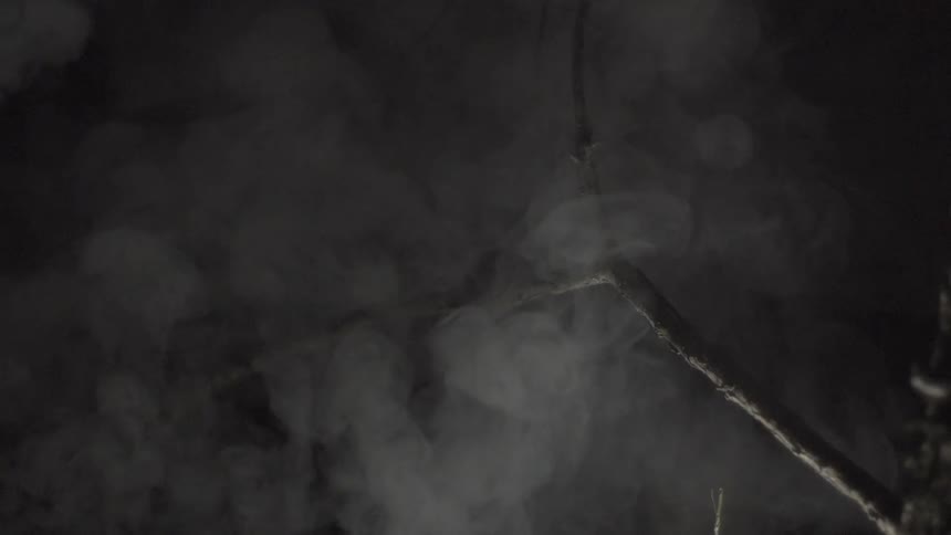 Smoke rising over a branch in the dark