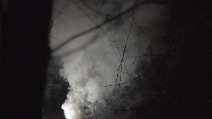 Fog is rolling through the woods