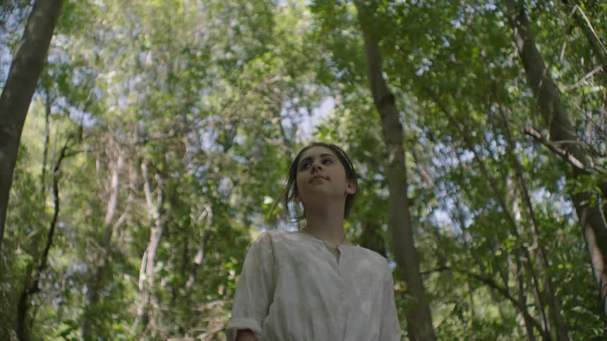 A brunette girl with her hair in a bun looking up and around at the trees surrounding her