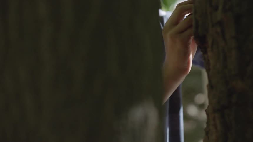 A peeking view of a man carving something into the bark of a tree