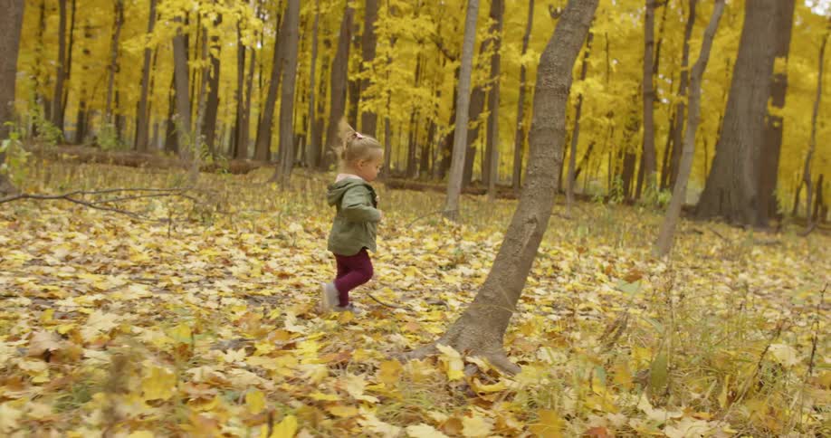 A toddler girl is running on a path in a forest on an autumn day