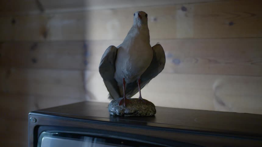 Carving of a bird on top of a television set