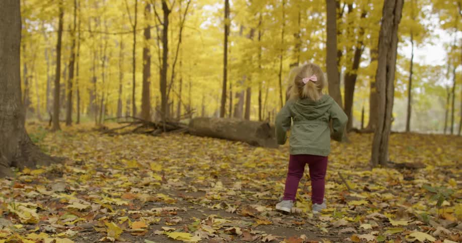 A toddler is looking up at the trees in a forest on an autumn day