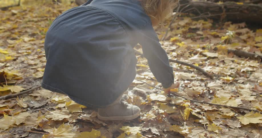 A child picks up a branch in the forest