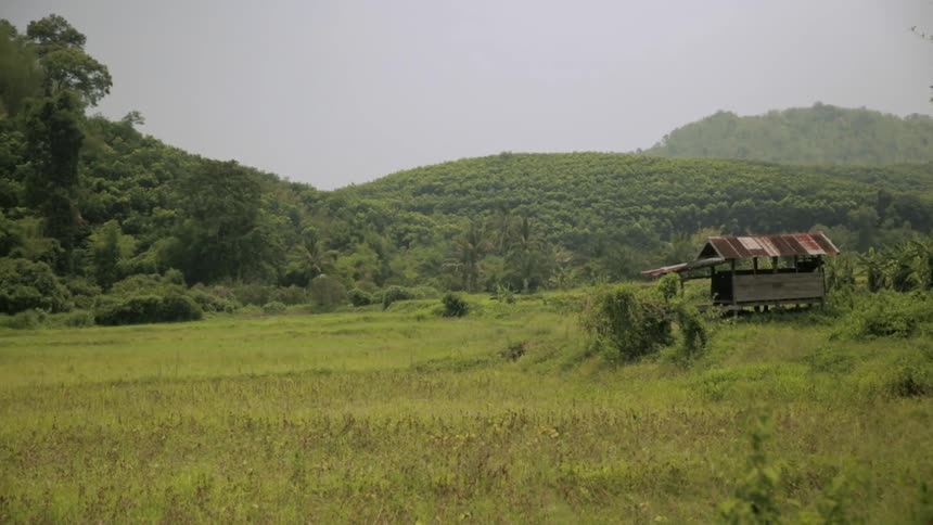 A shack sits in a rural grassy field