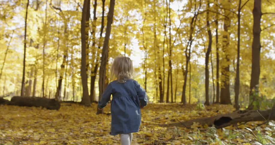 A child walks through the forest full of yellow leaves