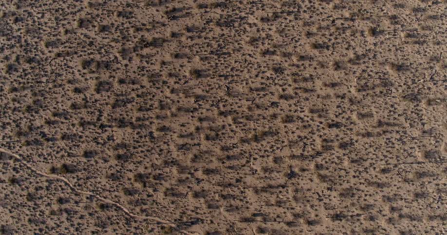 A small trail runs through the desert below