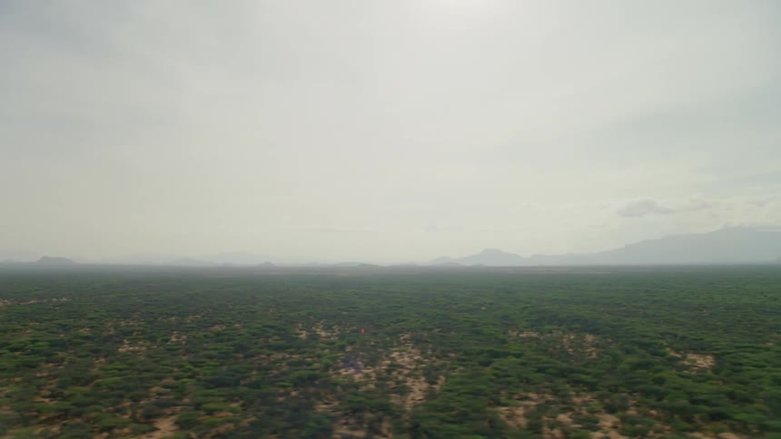 Trees cover a rural landscape