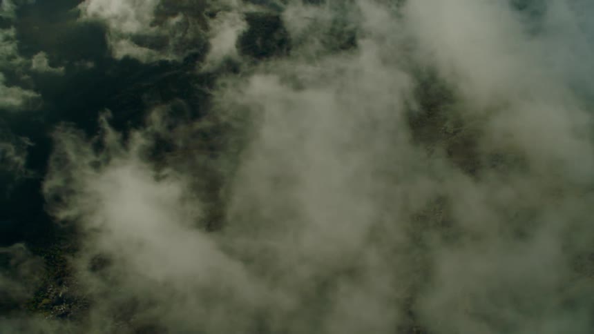 Thick mist hovers near the ground