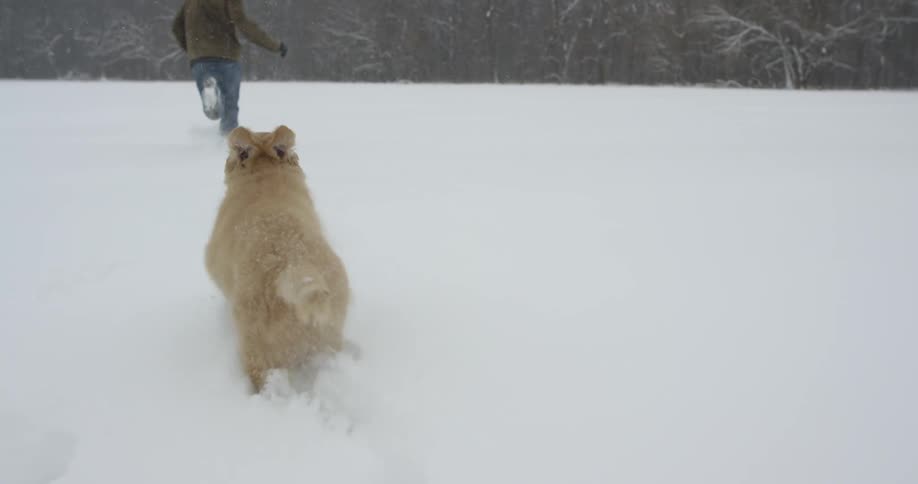 A man is running in the snow with a puppy on snowy day