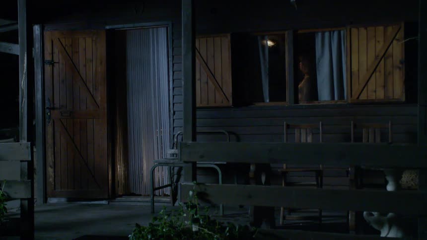 A woman stands by the window inside the house ahead