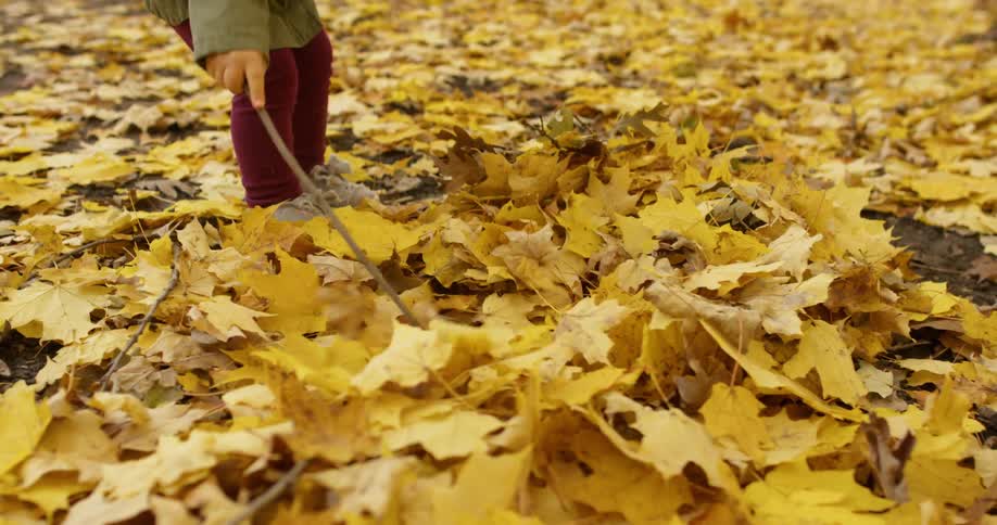 A child plays with a stick and autumn leaves
