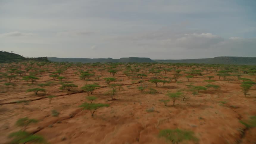 The long field leads to a mountain in the distance