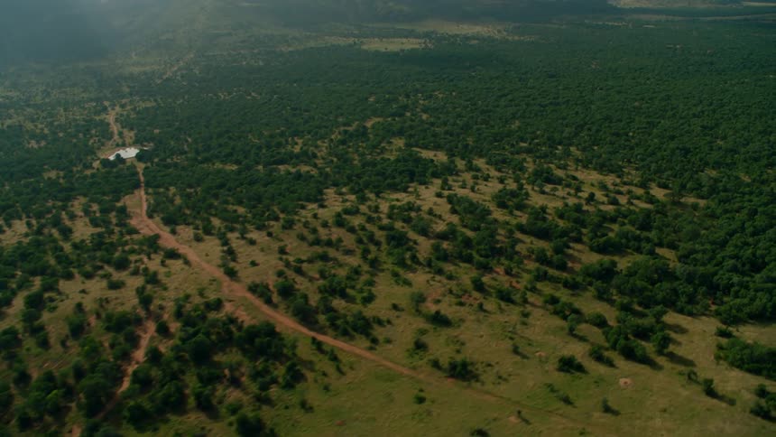 Moving aerial view of some green wilderness in a somewhat flat area