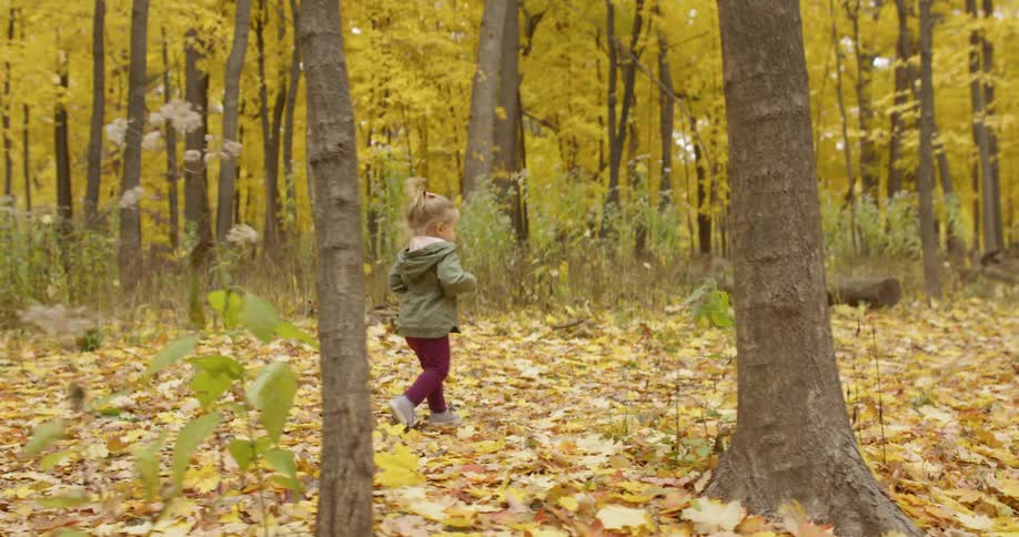A toddler girl is running on a path in a forest on an autumn day