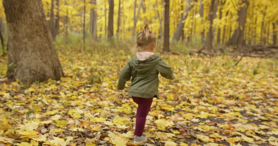 A toddler girl is running on a path in a forest on an autumn day