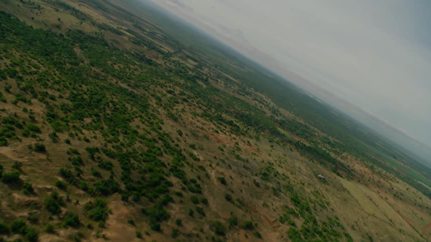 Trees and shrubs cover a rural landscape