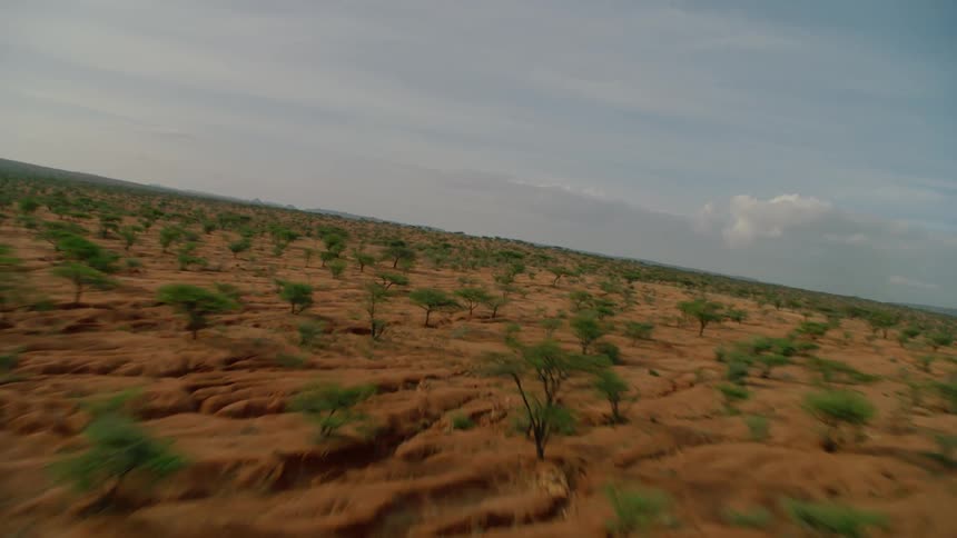 The long field has heavy clouds above
