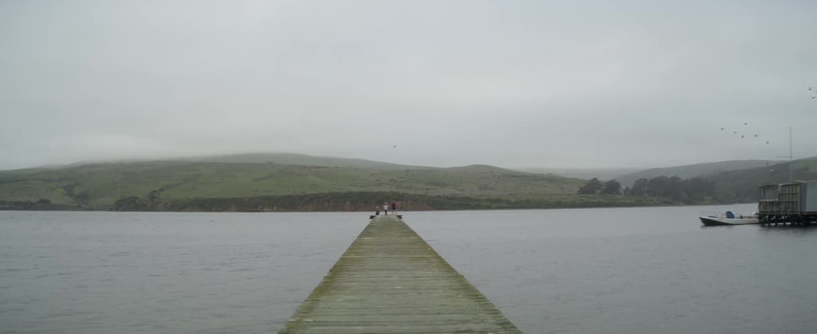Birds fly past people standing at the end of a dock